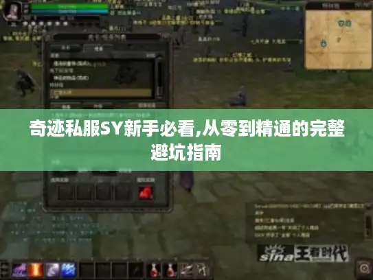 奇迹私服SY新手必看,从零到精通的完整避坑指南
