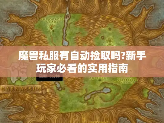 魔兽私服有自动捡取吗?新手玩家必看的实用指南
