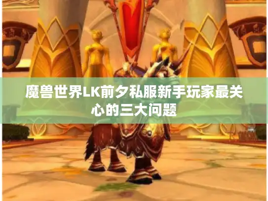 魔兽世界LK前夕私服新手玩家最关心的三大问题