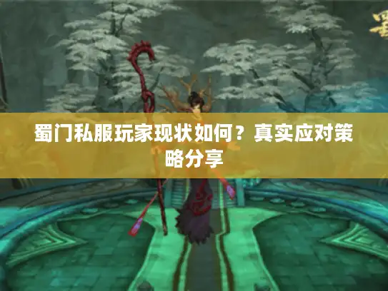 蜀门私服玩家现状如何？真实应对策略分享