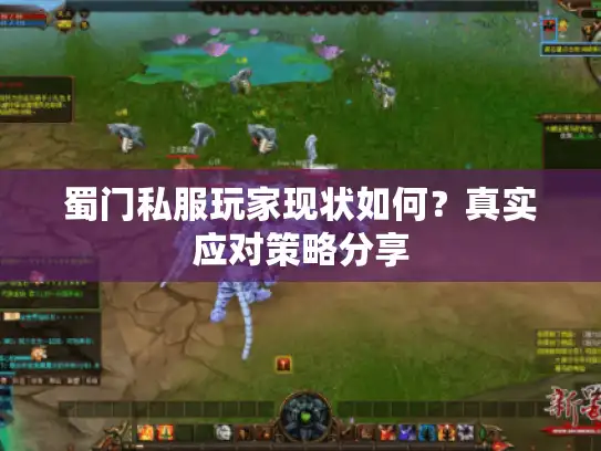 蜀门私服玩家现状如何？真实应对策略分享
