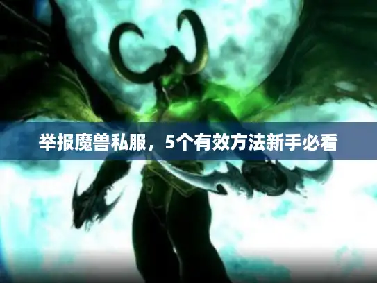 举报魔兽私服,5个有效方法新手必看 举报魔兽私服,5个有效方法新手必看