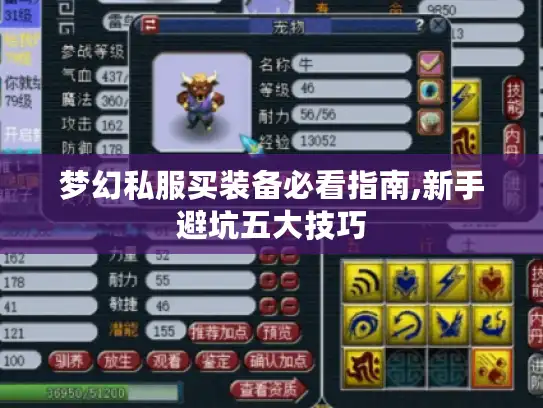 梦幻私服买装备必看指南,新手避坑五大技巧