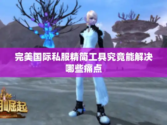 完美国际私服精简工具究竟能解决哪些痛点 完美国际私服精简工具究竟能解决哪些痛点