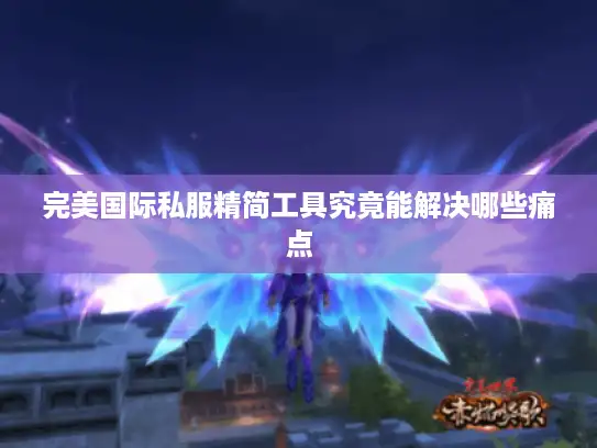 完美国际私服精简工具究竟能解决哪些痛点 完美国际私服精简工具究竟能解决哪些痛点