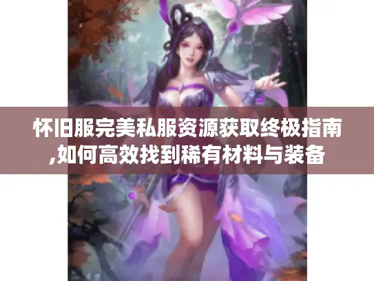怀旧服完美私服资源获取终极指南,如何高效找到稀有材料与装备