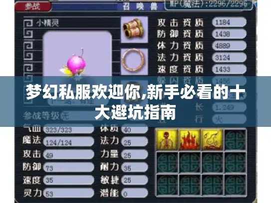 梦幻私服欢迎你,新手必看的十大避坑指南