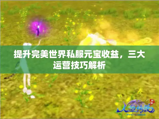 提升完美世界私服元宝收益,三大运营技巧解析 提升完美世界私服元宝收益,三大运营技巧解析