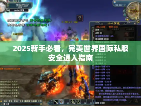 2025新手必看，完美世界国际私服安全进入指南