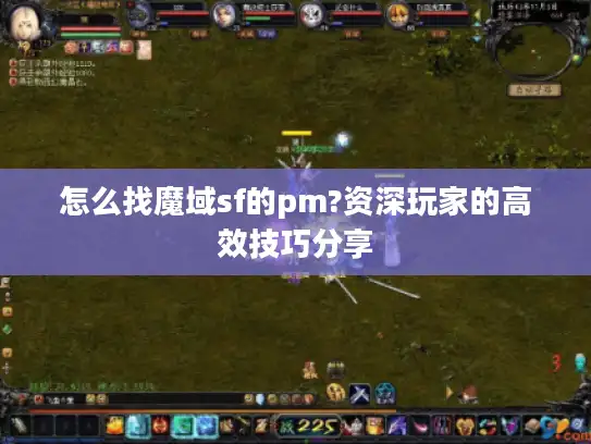 怎么找魔域sf的pm?资深玩家的高效技巧分享