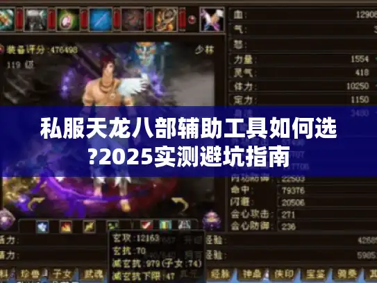 私服天龙八部辅助工具如何选?2025实测避坑指南