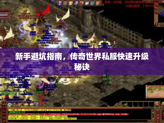 新手避坑指南，传奇世界私服快速升级秘诀