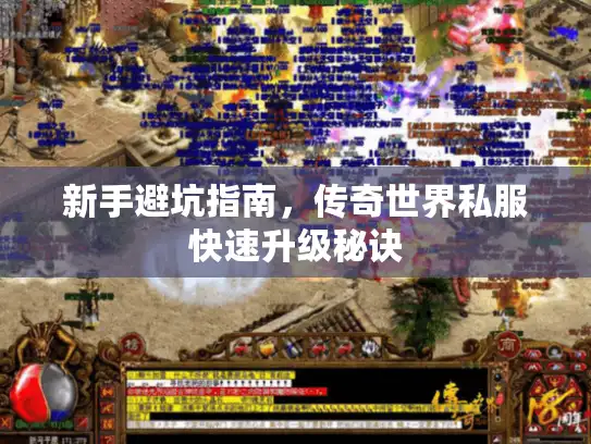 新手避坑指南，传奇世界私服快速升级秘诀