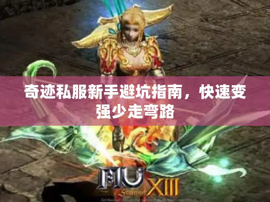 奇迹私服新手避坑指南，快速变强少走弯路