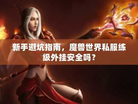新手避坑指南,魔兽世界私服练级外挂安全吗? 新手避坑指南,魔兽世界私服练级外挂安全吗?