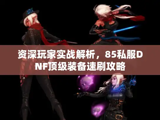 资深玩家实战解析，85私服DNF顶级装备速刷攻略
