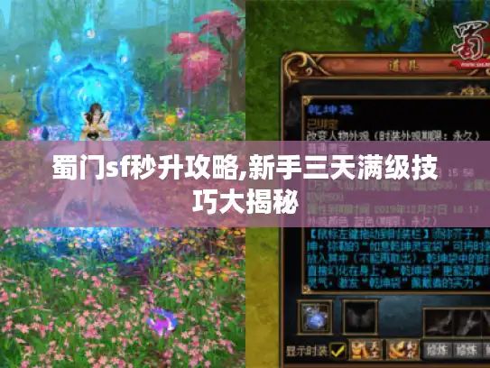 蜀门sf秒升攻略,新手三天满级技巧大揭秘 蜀门sf秒升攻略,新手三天满级技巧大揭秘