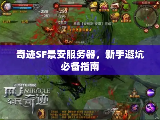 奇迹SF景安服务器，新手避坑必备指南
