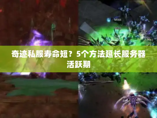 奇迹私服寿命短？5个方法延长服务器活跃期