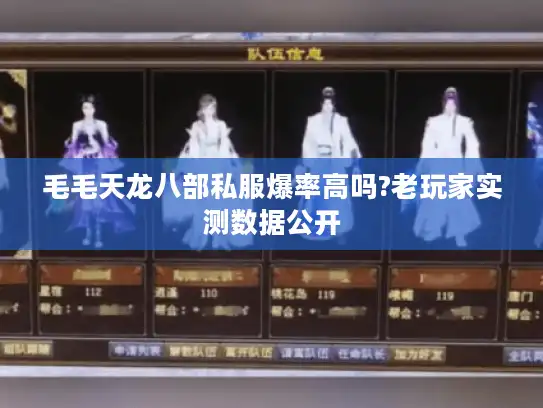 毛毛天龙八部私服爆率高吗?老玩家实测数据公开
