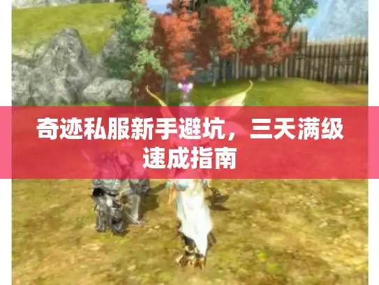 奇迹私服新手避坑，三天满级速成指南