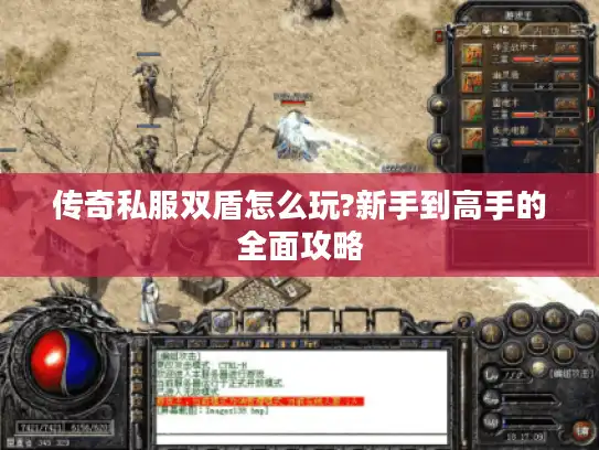 传奇私服双盾怎么玩?新手到高手的全面攻略