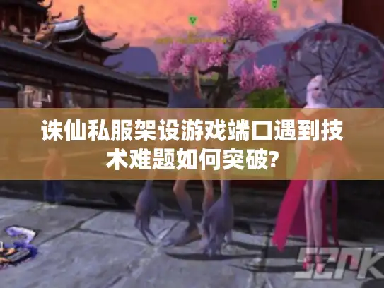 诛仙私服架设游戏端口遇到技术难题如何突破?
