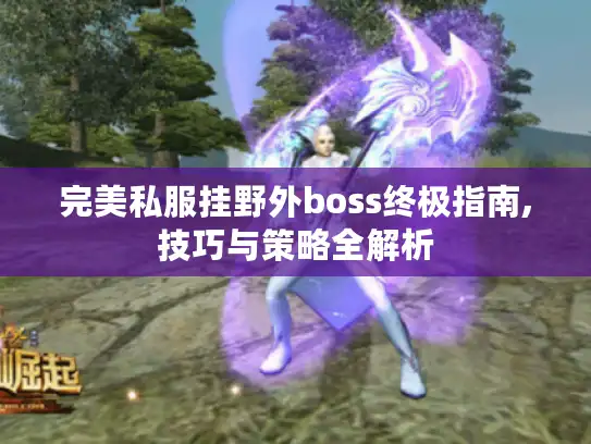 完美私服挂野外boss终极指南,技巧与策略全解析