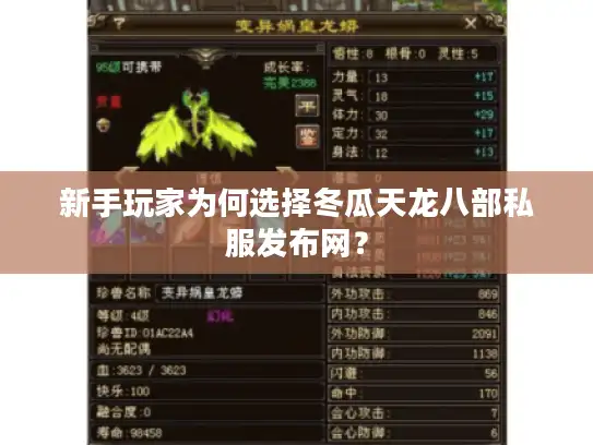 新手玩家为何选择冬瓜天龙八部私服发布网？