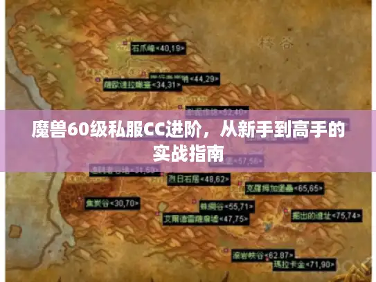 魔兽60级私服CC进阶，从新手到高手的实战指南