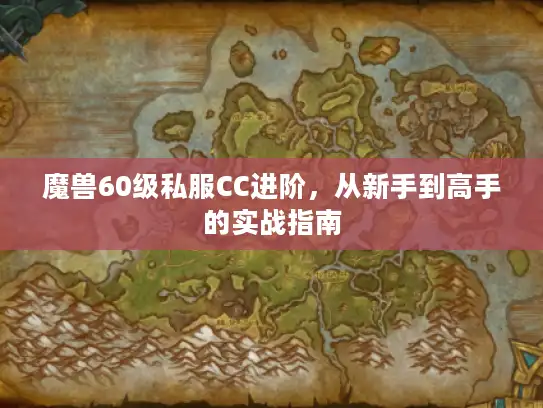 魔兽60级私服CC进阶，从新手到高手的实战指南