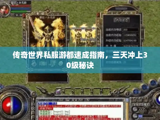 传奇世界私服游都速成指南，三天冲上30级秘诀