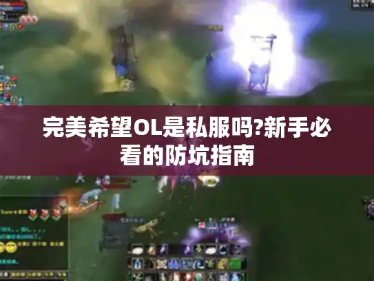 完美希望OL是私服吗?新手必看的防坑指南