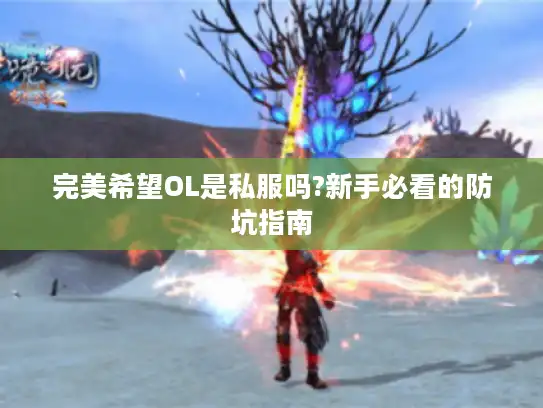 完美希望OL是私服吗?新手必看的防坑指南