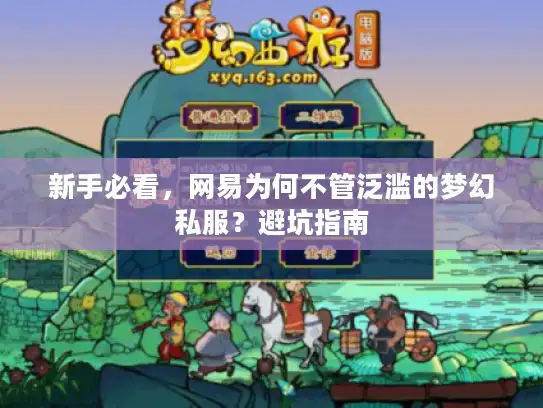 新手必看，网易为何不管泛滥的梦幻私服？避坑指南