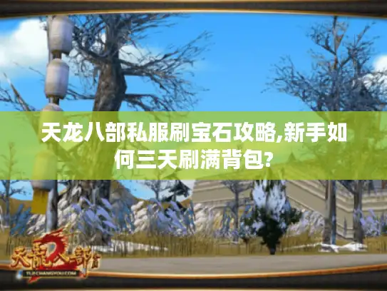 天龙八部私服刷宝石攻略,新手如何三天刷满背包? 天龙八部私服刷宝石攻略,新手如何三天刷满背包?