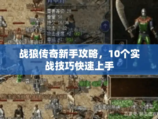 战狼传奇新手攻略,10个实战技巧快速上手 战狼传奇新手攻略,10个实战技巧快速上手
