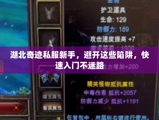 湖北奇迹私服新手，避开这些陷阱，快速入门不迷路