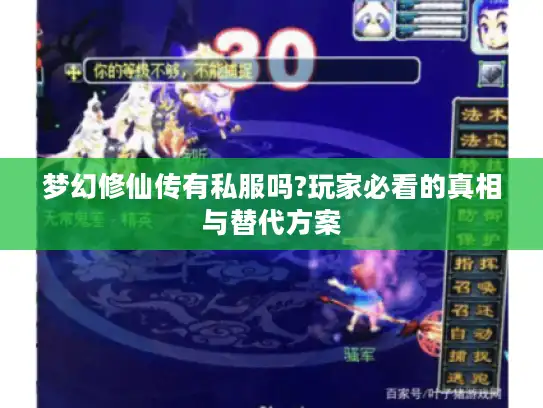 梦幻修仙传有私服吗?玩家必看的真相与替代方案