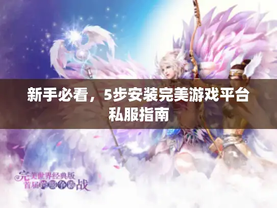 新手必看，5步安装完美游戏平台私服指南