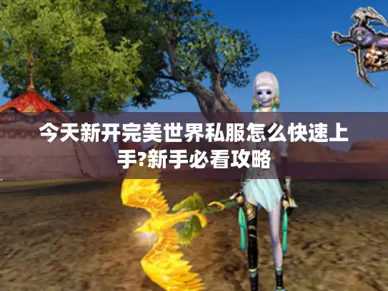 今天新开完美世界私服怎么快速上手?新手必看攻略
