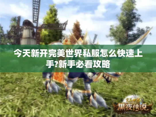 今天新开完美世界私服怎么快速上手?新手必看攻略