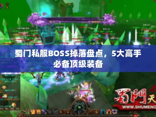 蜀门私服BOSS掉落盘点，5大高手必备顶级装备