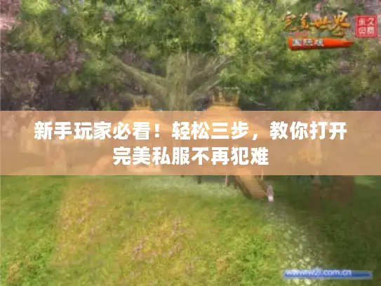 新手玩家必看！轻松三步，教你打开完美私服不再犯难