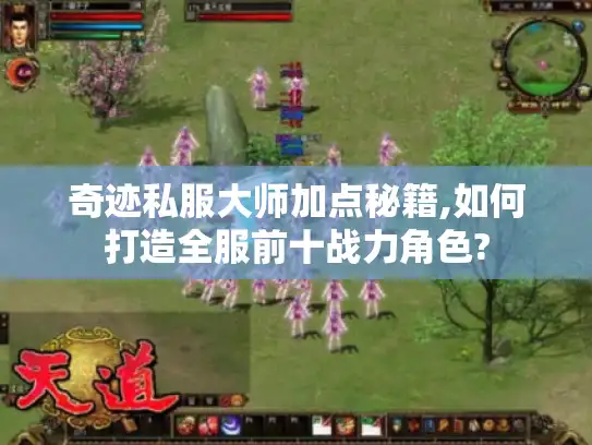 奇迹私服大师加点秘籍,如何打造全服前十战力角色?