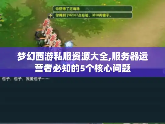 梦幻西游私服资源大全,服务器运营者必知的5个核心问题