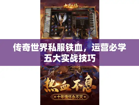 传奇世界私服铁血，运营必学五大实战技巧