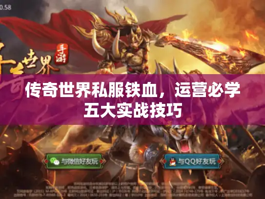 传奇世界私服铁血，运营必学五大实战技巧