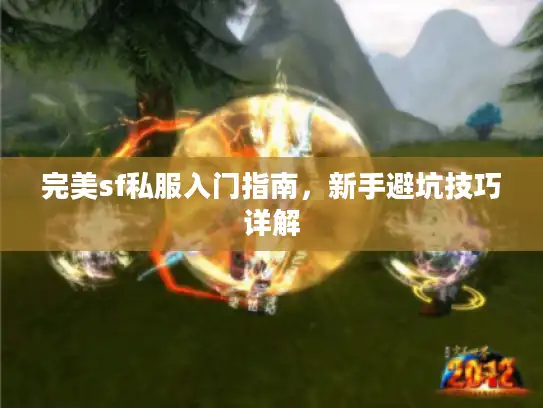 完美sf私服入门指南，新手避坑技巧详解