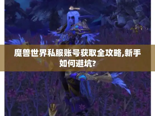 魔兽世界私服账号获取全攻略,新手如何避坑?